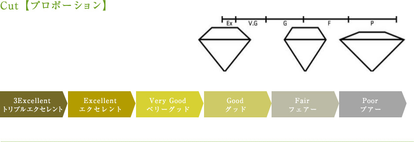 Cut【プロポーション】